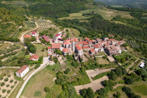 kalcinahr ulje masline 0036