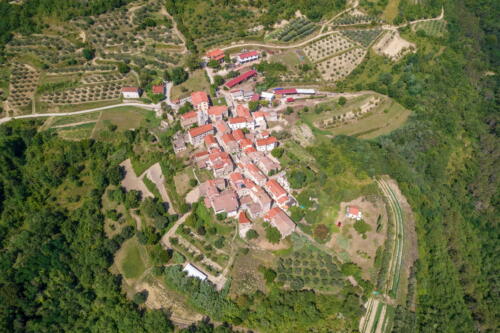 kalcinahr ulje masline 0037