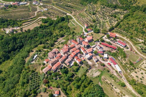 kalcinahr ulje masline 0038